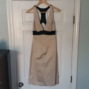 bebe dress
